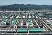 CHINA-NORTHEASTERN PROVINCES-PETROCHEMICAL INDUSTRY-DEVELOPMENT (CN)
