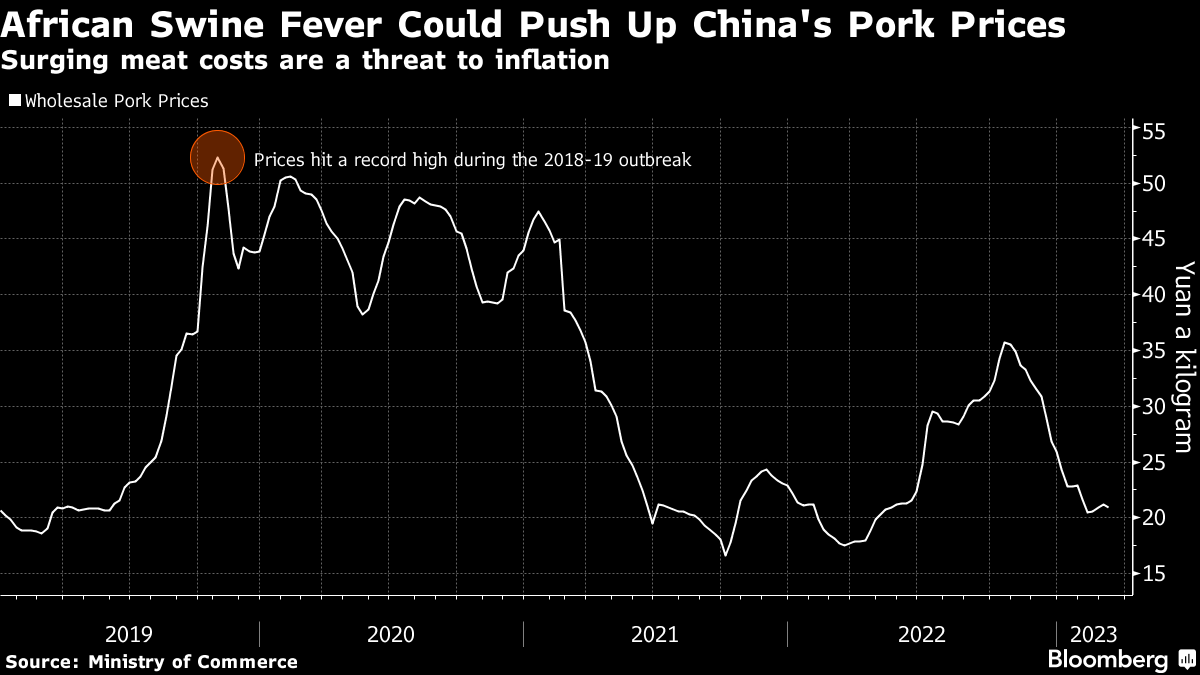 Pork prices set to soar as African swine fever devastates pig