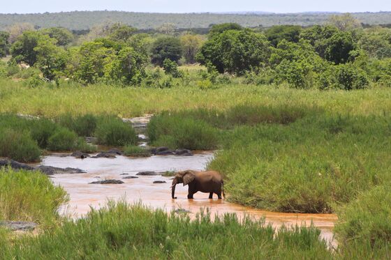The Greatest Safari Adventure Ever Spans Four African Countries