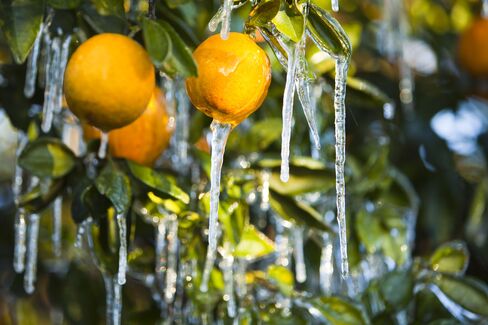 Iced Oranges