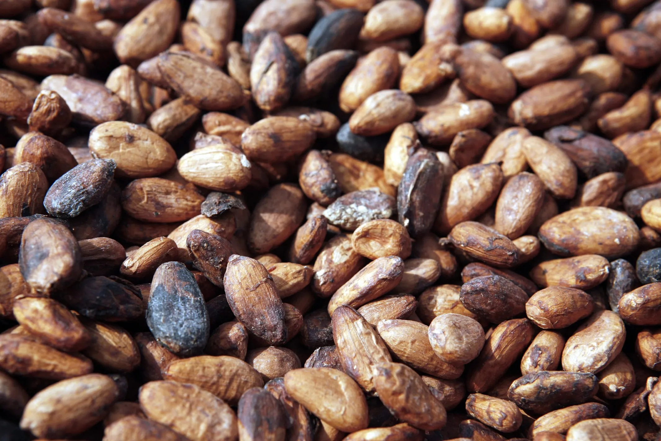GHANA COCOA