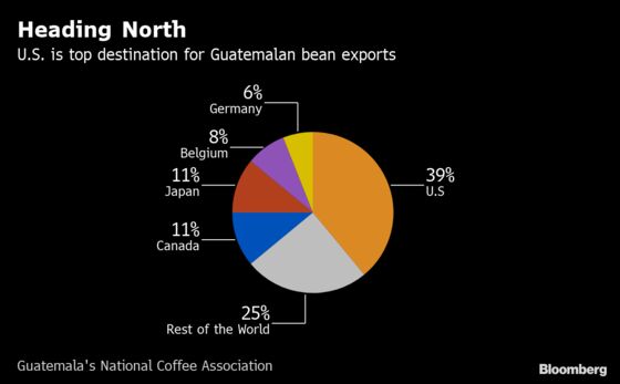 Coffee Growers in Crisis Face a New Blow From Trump’s Tariff Threat