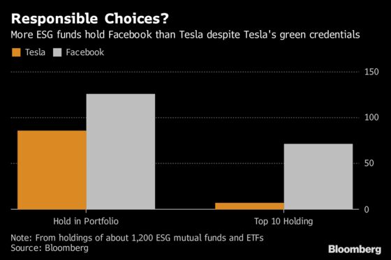 Tesla Is Rejected by One Class of Investors Who Should Love It