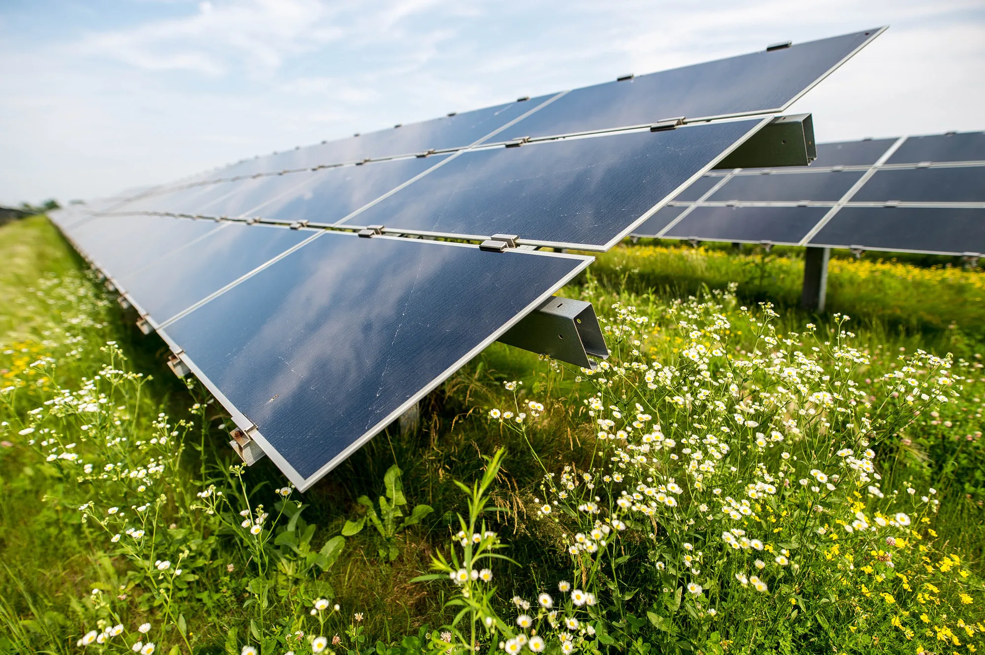 Solar panels at a solar farm in Canada