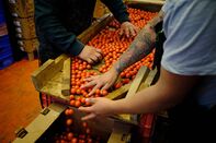 The Central De Abastos Market Ahead Of Expiring Tomato Suspension