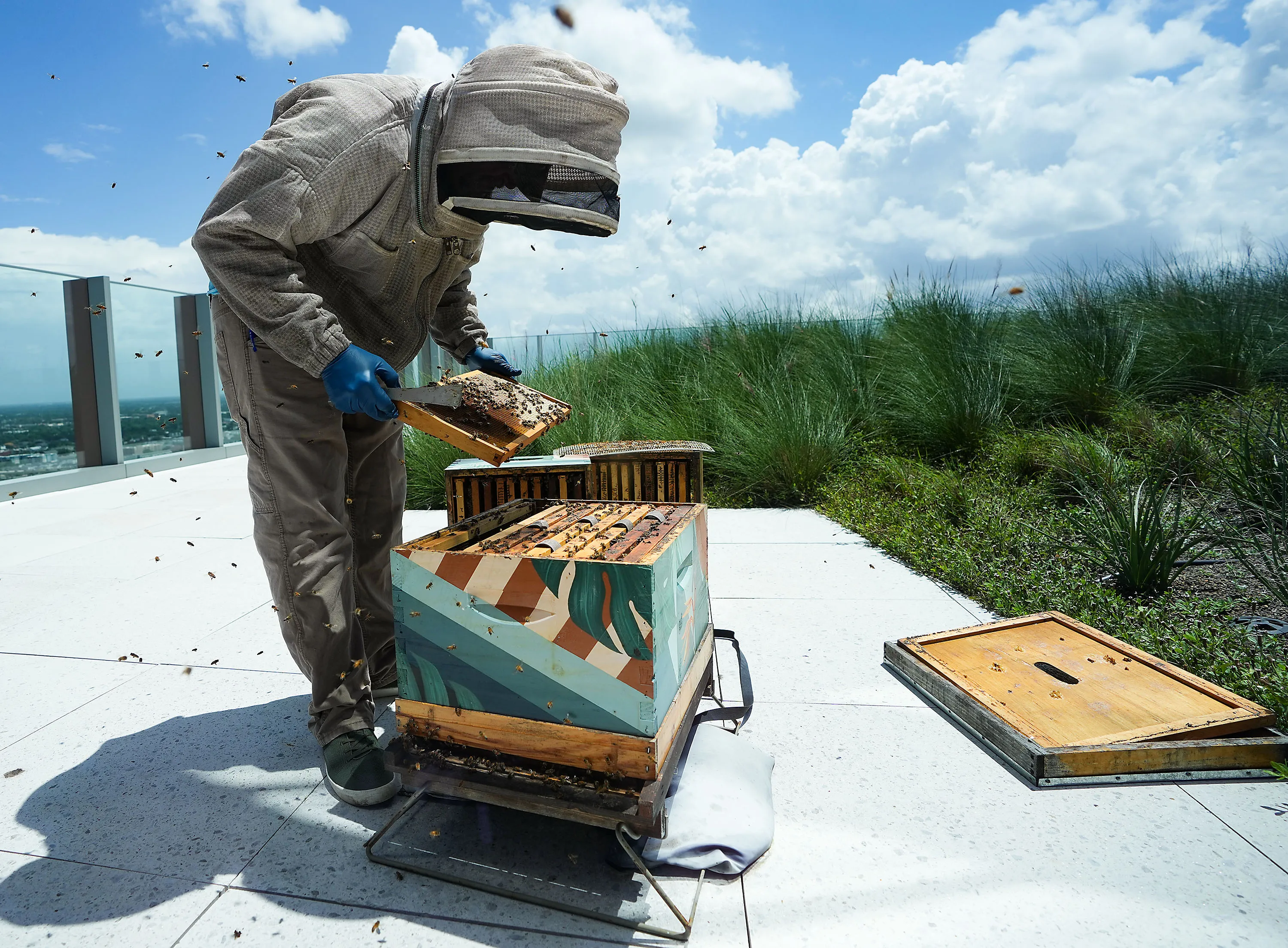 A beekeeper tends a hive on the roof of the Norton Rose Fulbright Tower in downtown Sugar Land, Texas, 2025.&nbsp;