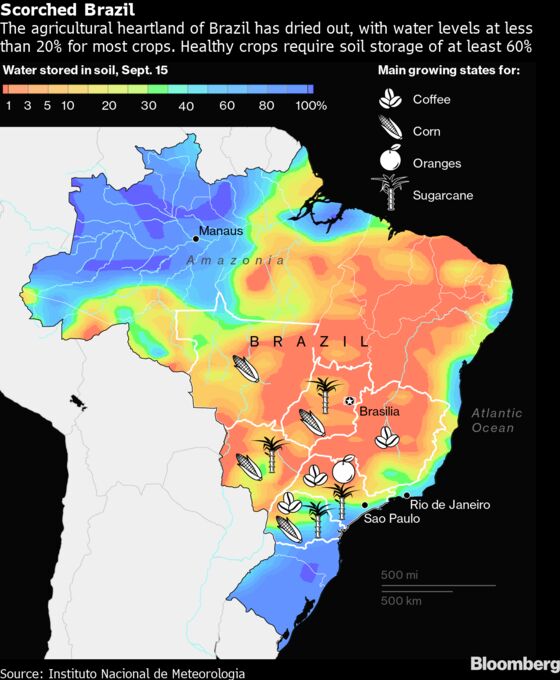 The Country That Makes Breakfast for the World Is Plagued by Fire, Frost and Drought