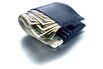 1497435369_RF_WALLET_DOLLAR_DOLLARS_MONEY