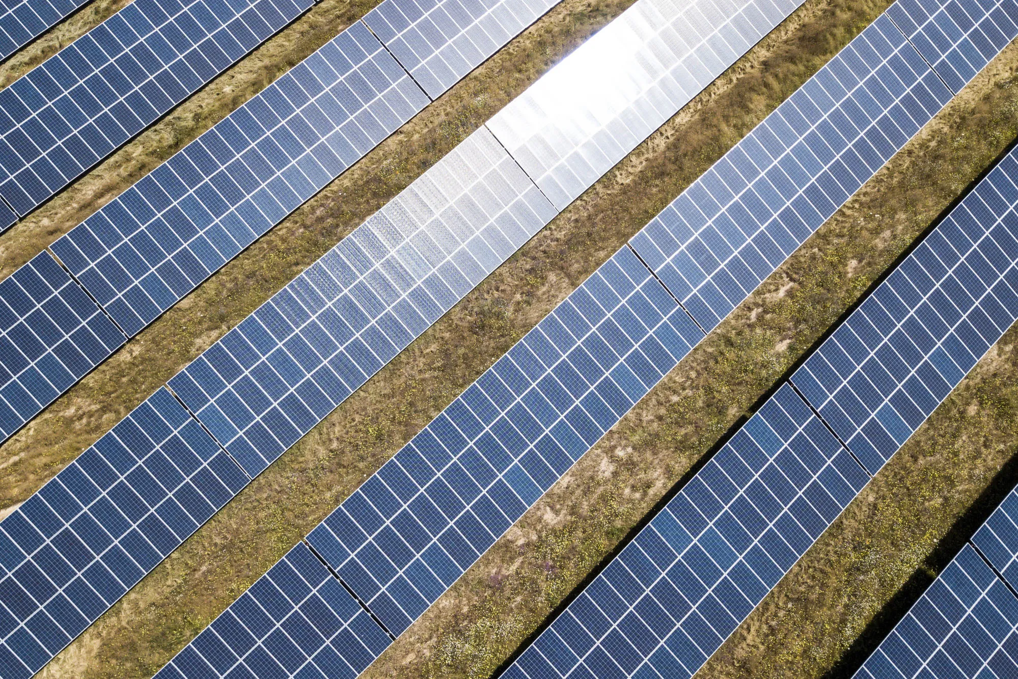 Solar panels face the sun