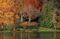 Best Affordable Place in Illinois: Woodford County