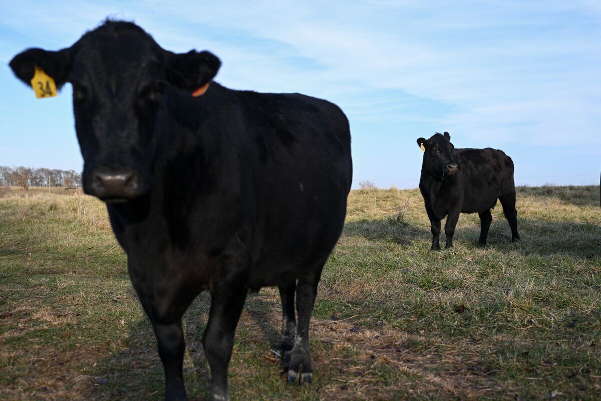 Skyrocketing Beef Prices Finally Have Americans Reaching Their Spending Limit - Bloomberg.com