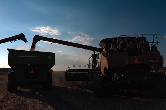 U.S. Farmers Reap Bigger Crop Profits and Boost Stockpiles