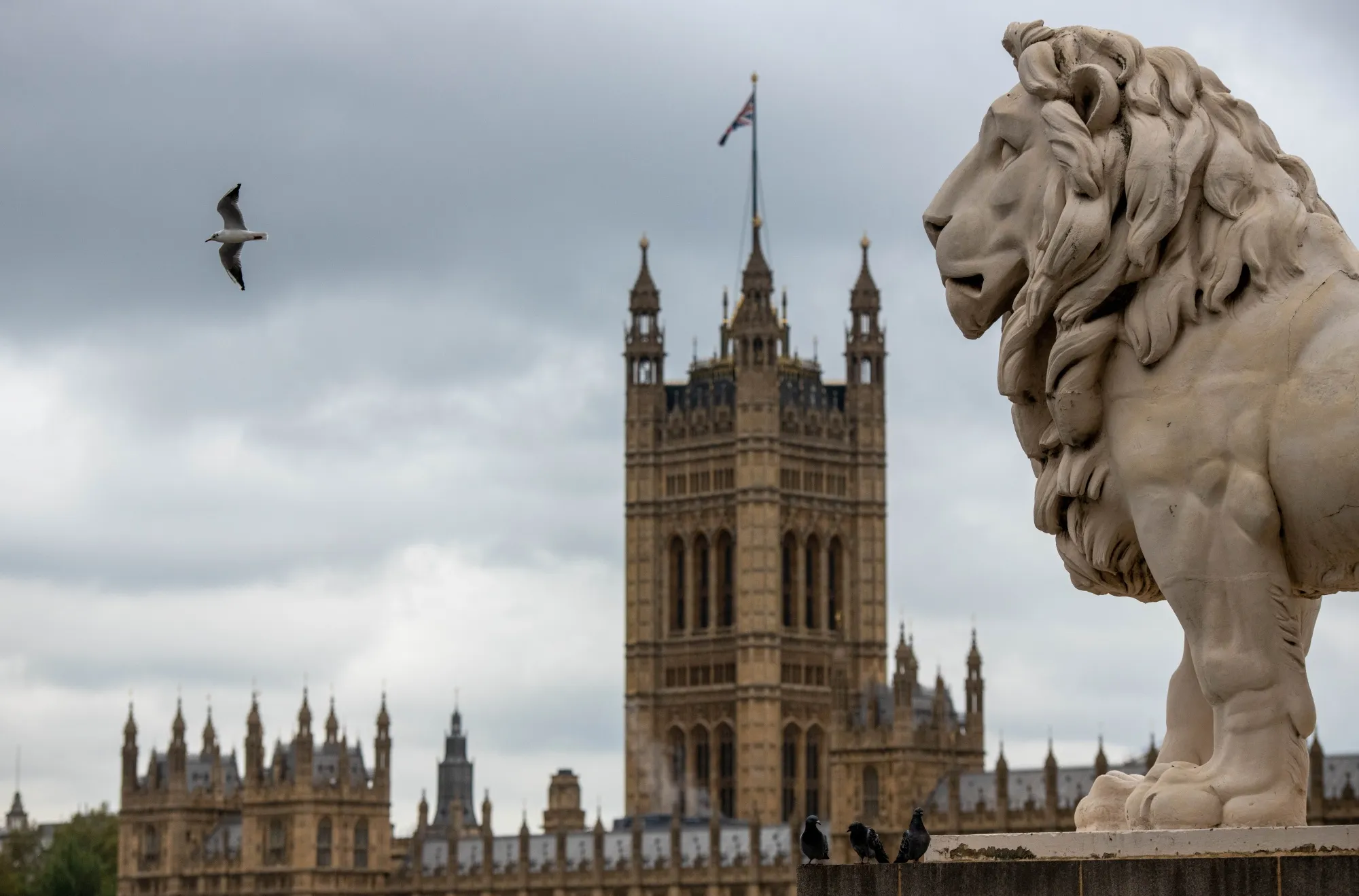 A statue of a Lion stands on Westminster Bridge in the view of the Houses of Parliament in London.