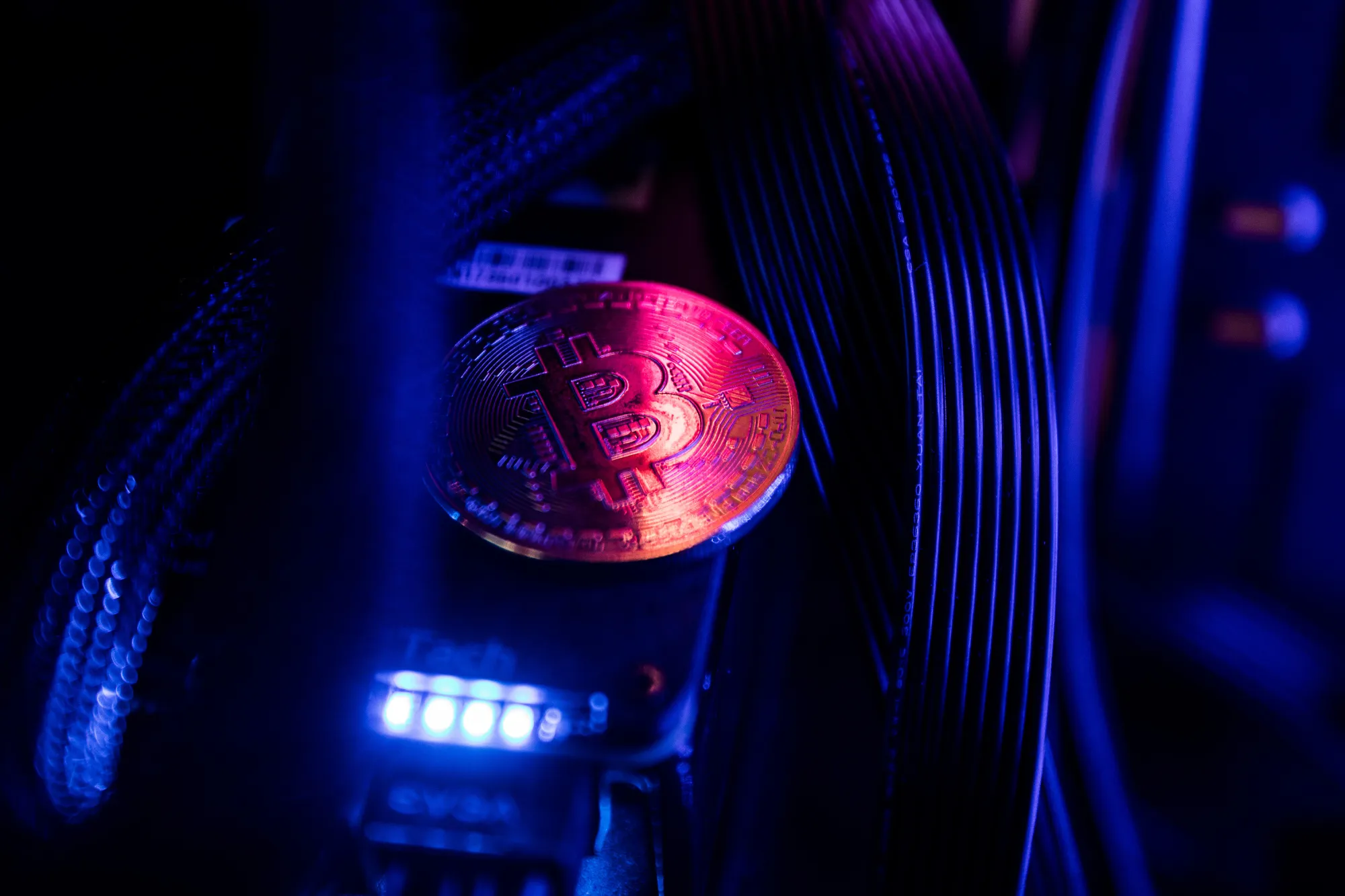 Crypto Unicorns Clash While Bitcoin Droops