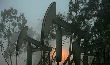 Oil
