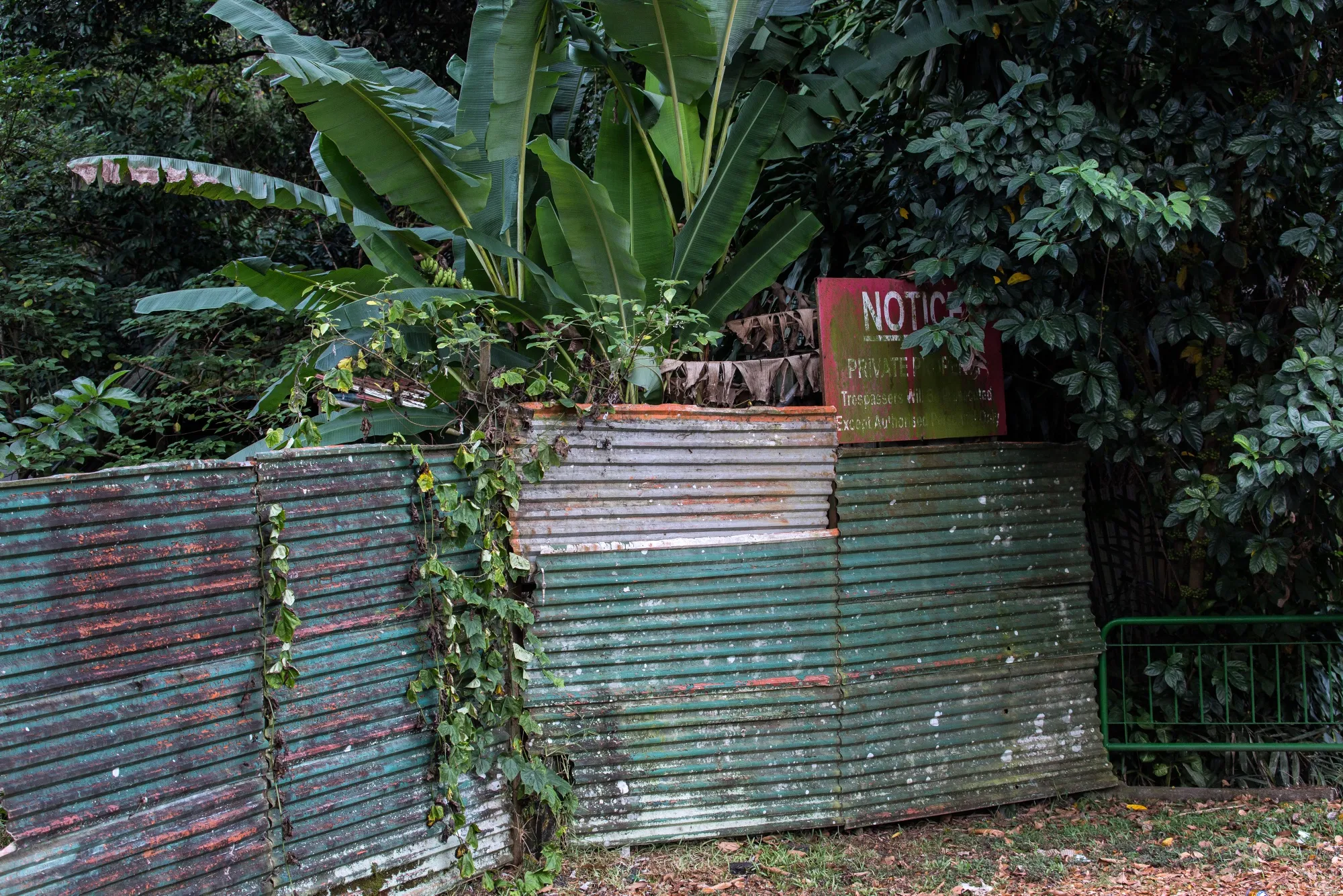A perimeter fence of a plot that was formerly Tyersall Park in Singapore.