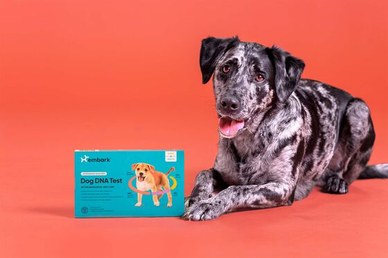 SoftBank Backs Dog DNA Startup Embark at $700 Million Valuation