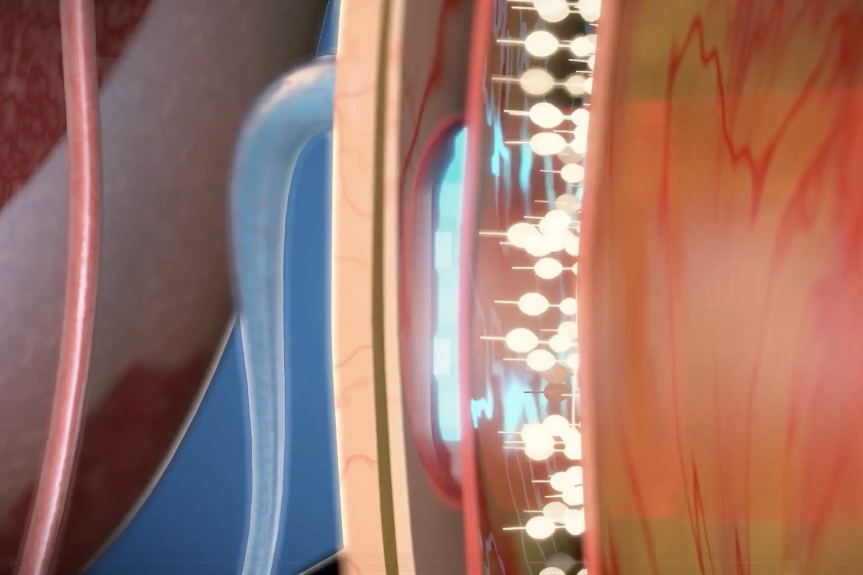 A 3D rendering of Science’s retina implant PRIMA, a chip that sits at the back of the eye and helps blind people see, with the assistance of a special pair of glasses that projects images into the eye.