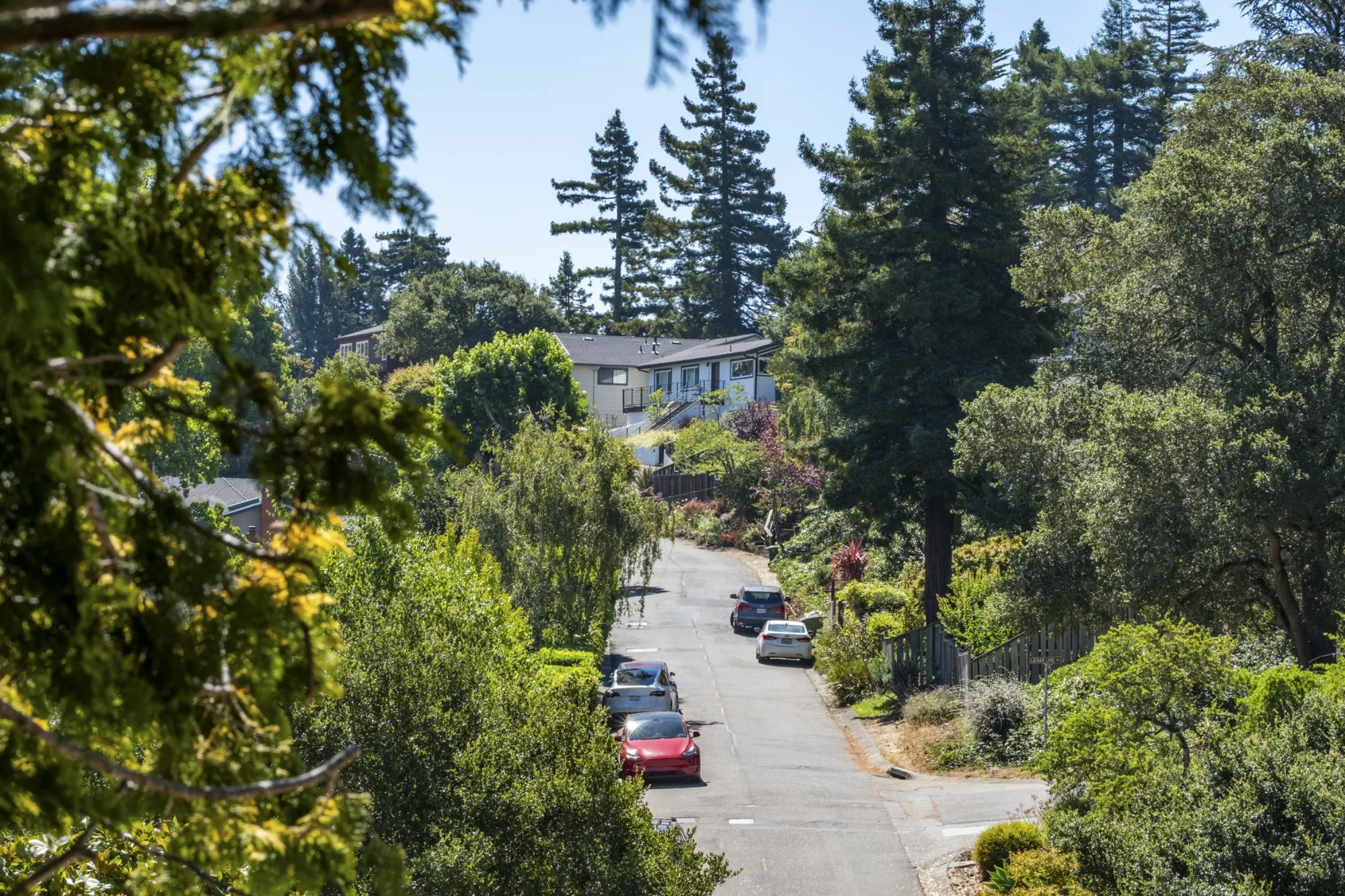 Homes&nbsp;in the Berkeley Hills, California.