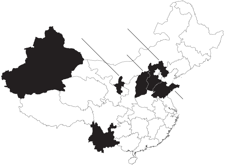 “Made in China” Wine