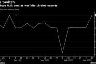 China buys U.S. corn as war hits Ukraine exports