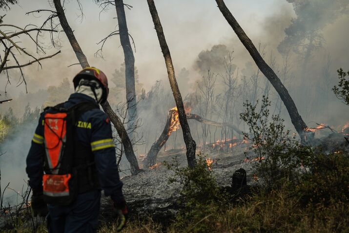 Firefighters work to extinguish a wildfire near the town of Stamata, on June 30.