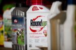 A bottle of Bayer AG Roundup brand weedkiller concentrate.