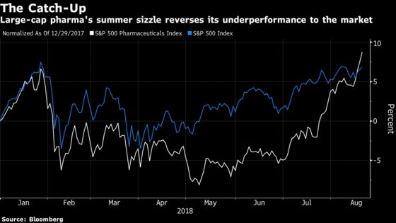 Drugmakers Extend Summer Rally as Markets Regain Footing