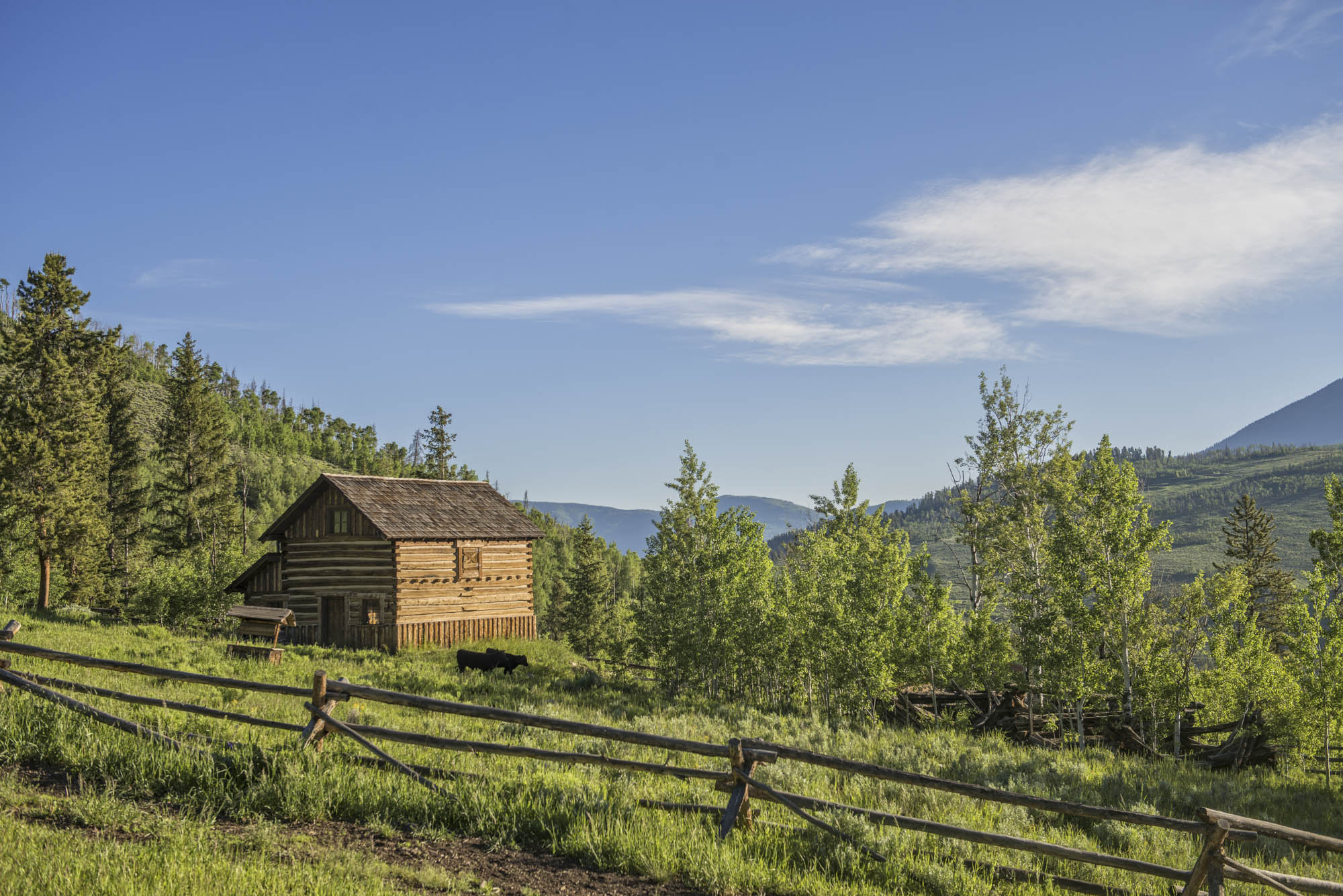 Denver Broncos Mascot's $23 Million Colorado Horse Ranch for Sale