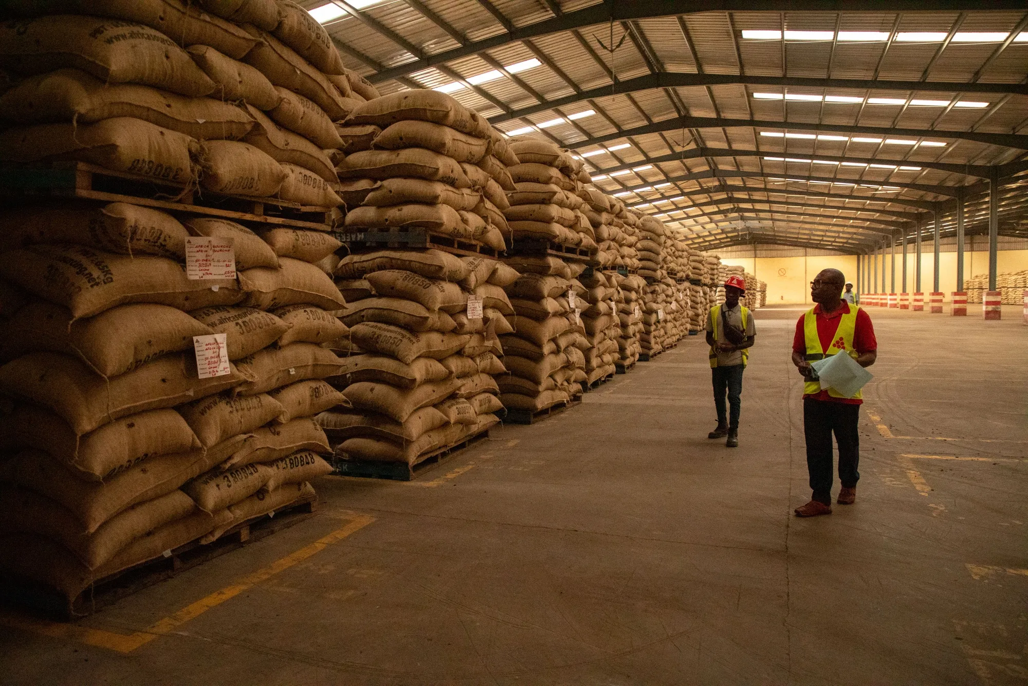 Cocoa beans in a warehouse&nbsp;in San-Pedro, Ivory Coast, in 2023.