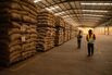 Chocolate and Cosmetics Face Price Jolt From Cocoa Supply Chain Law