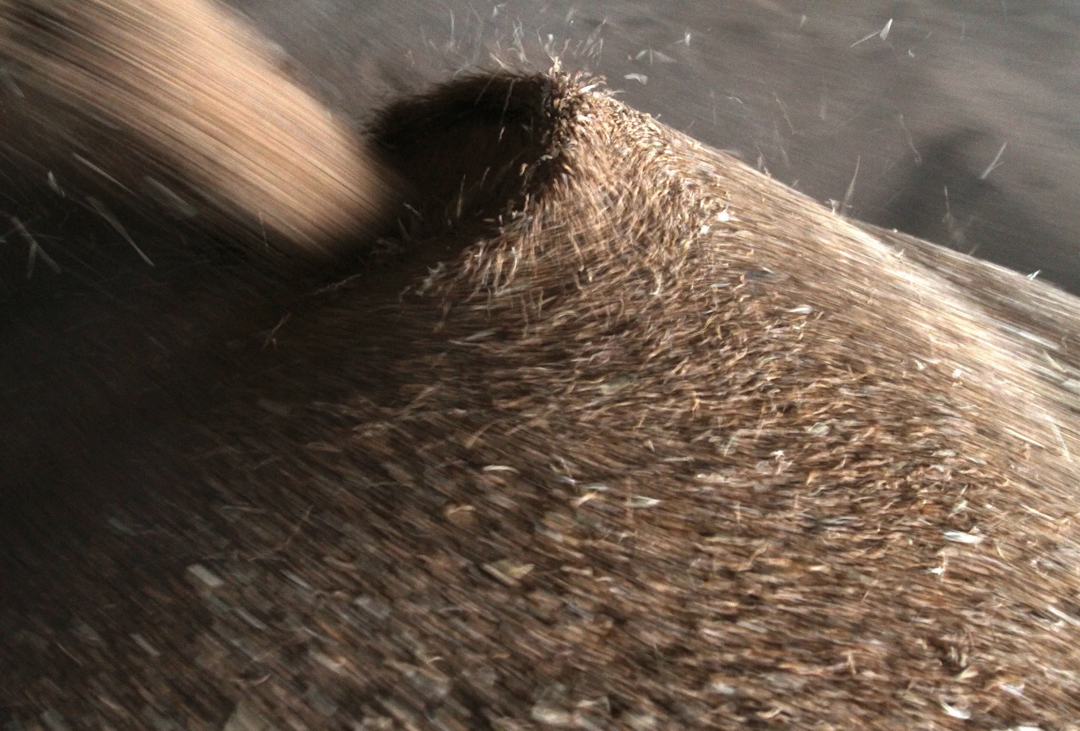 Inside A Grain Storage Facilty In Russia