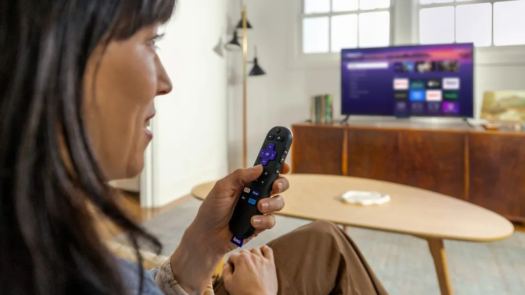 Roku said its&nbsp;streaming platform is actively being used in over 100 million households.