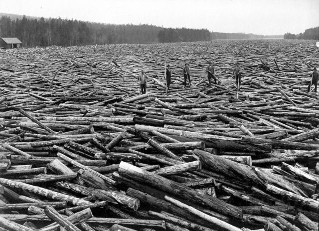 Sweden's forests were logged to an extreme degree during the turn of the century, to help fuel the industrial revolution. Logs were transported on the country's rivers, such as here - where an entire field of timber is floating along the Ljusnan river, circa 1917-1919.