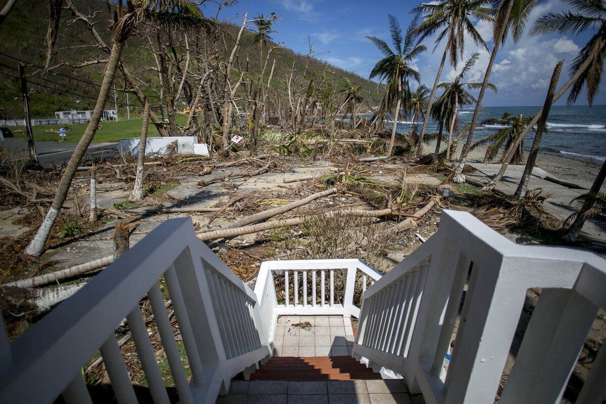 Hurricanes Keep Ruining Beach Hotels. Investors Like Them Anyway