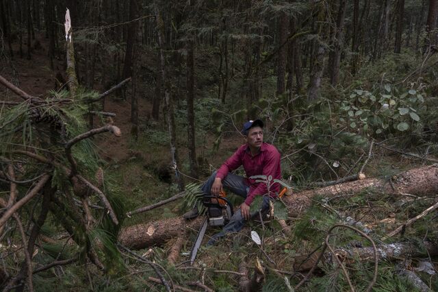 A worker holding a saw sits while taking a break from cutting tress in Coatitila. 