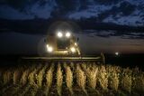 Argentinian Soybeans Flood Market Just as US Harvests Bumper Crop