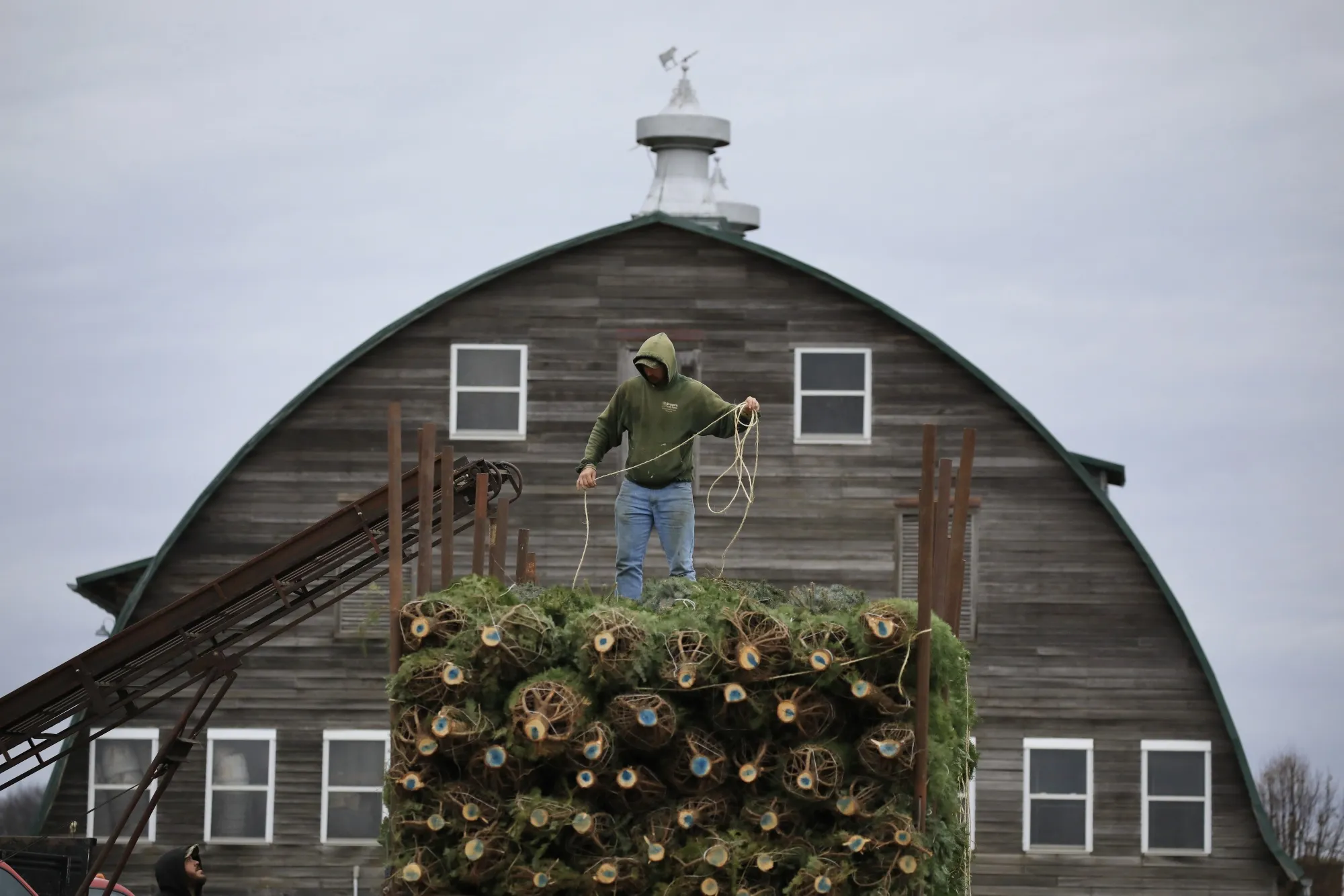 The median price for real trees sold in 2020 is expected to be about $81, up 7% from last year and 23% from 2018.