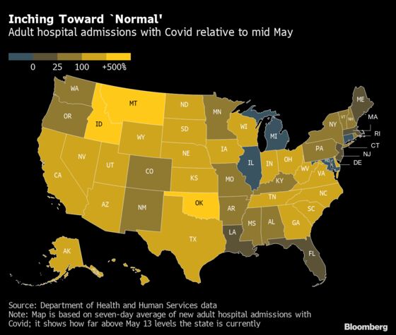 Covid Hospital Traffic in Some States Drops to Pre-Delta Levels