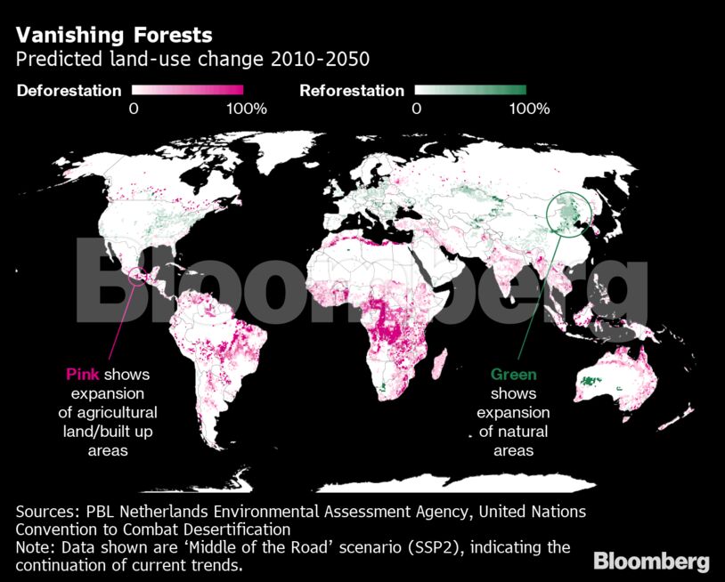 Vanishing Forests