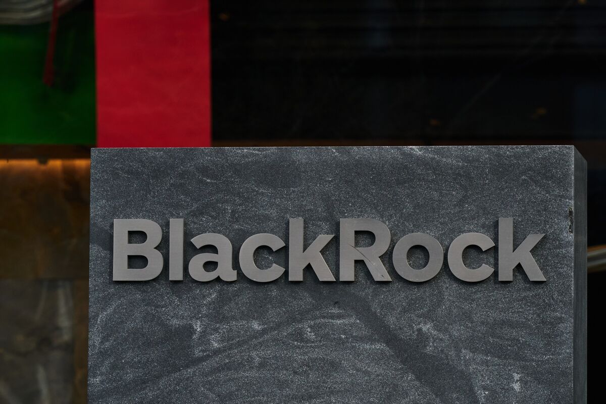 BlackRock Halts Ukraine Recovery Fund Amid US Political Uncertainty