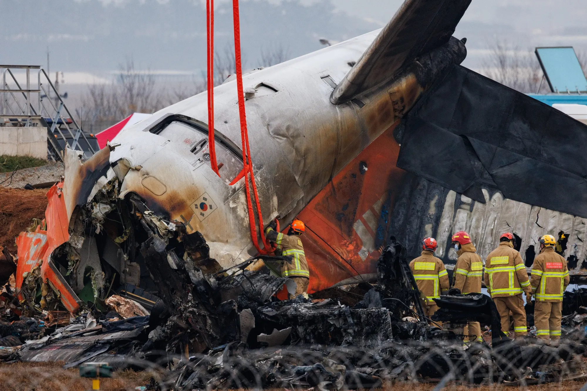 邦楽 Blahrmy A Report of the Birdstrike Jeju Air Plane Crash: South Korea's Preliminary Report