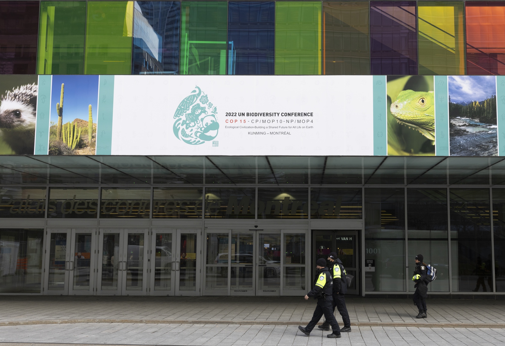 COP15: What Can You Expect From the UN Biodiversity Conference - Bloomberg