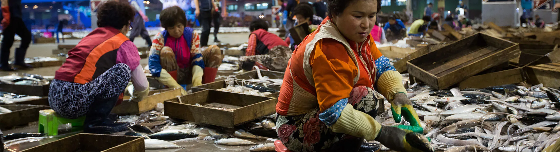 1501112557_korea fish market