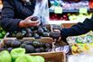 Avocado Prices Are Coming Down Just in Time for Super Bowl Guacamole
