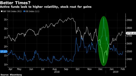 Stock Volatility Won't Save Actively Run Funds, Bernstein Says