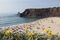 Strand bei Odeceixe, Atlantikk¸ste, Algarve, Portugal, Europa / Beach near Odeceixe, Atlantic Coast, Algarve, Portugal, Europe