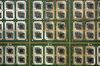 A sheet of Surround View camera (SVC210) sensor circuits sits on the automated driving technology production line at the Continental AG automotive factory in Ingolstadt, Germany, on Friday, March 2, 2018. Nvidia Corp., forging partnerships to embed its computer technology in future autonomous cars, will work with automotive supplier Continental to put robo-taxis on the road.