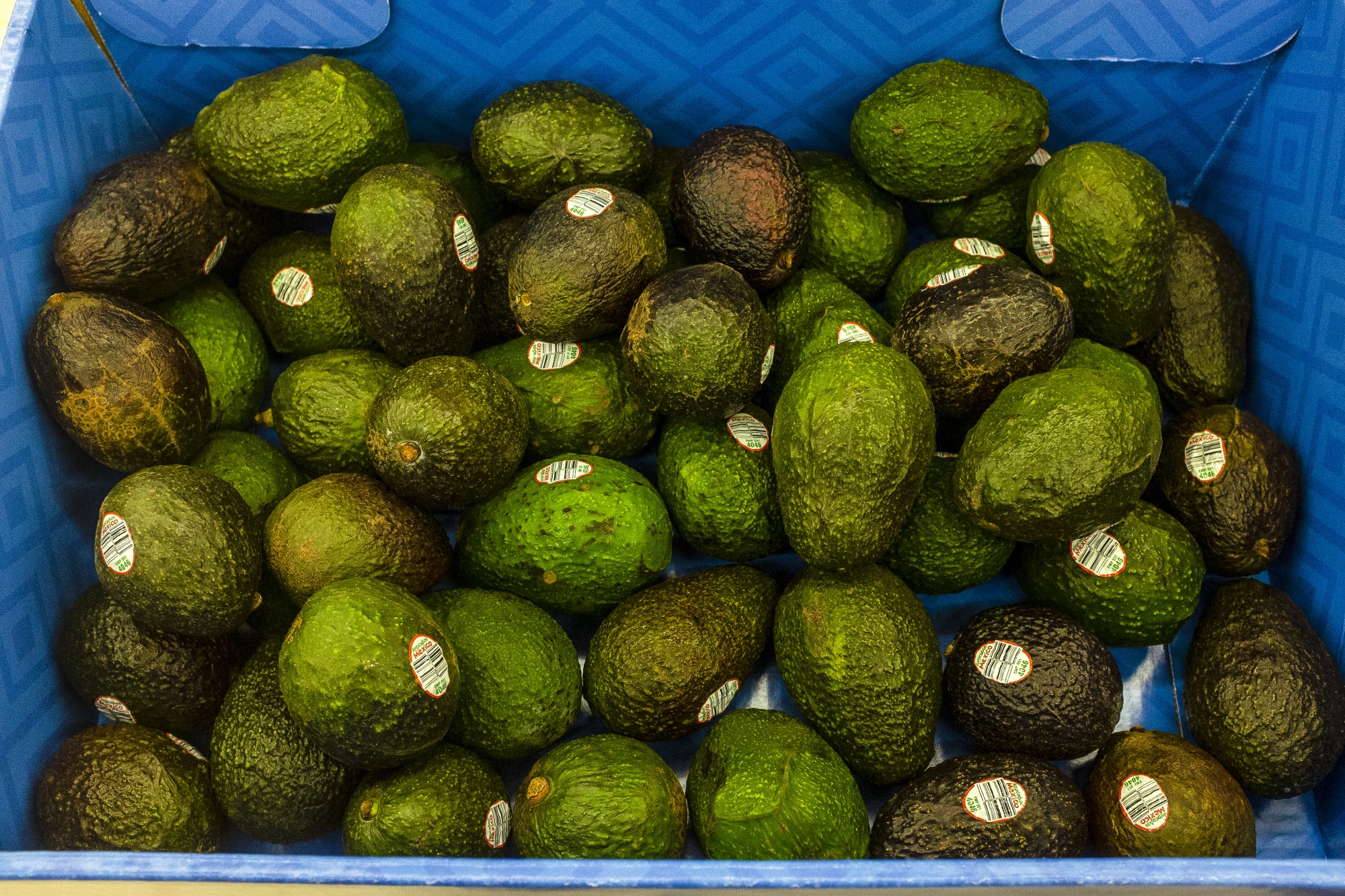 Avocados contain dietary fibre, healthy monounsaturated fats and other key vitamins and minerals.