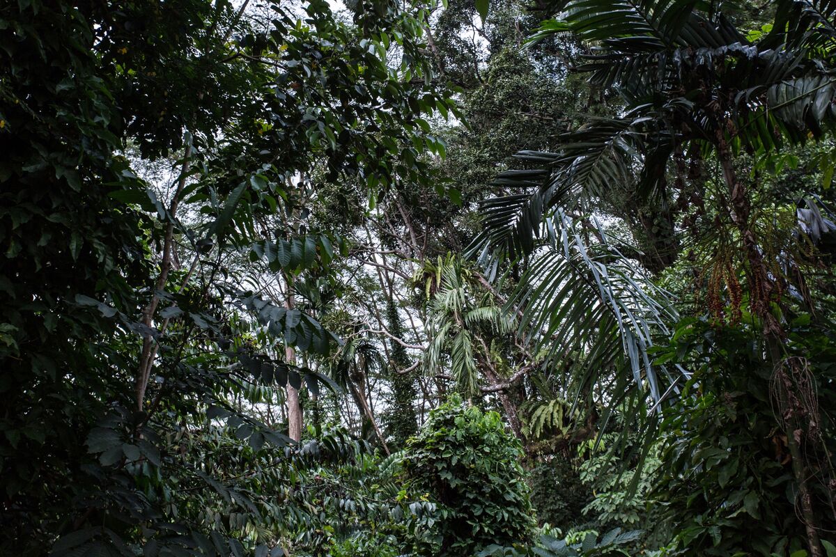 The Story Behind Singapore’s Ultra-Valuable Land Swap